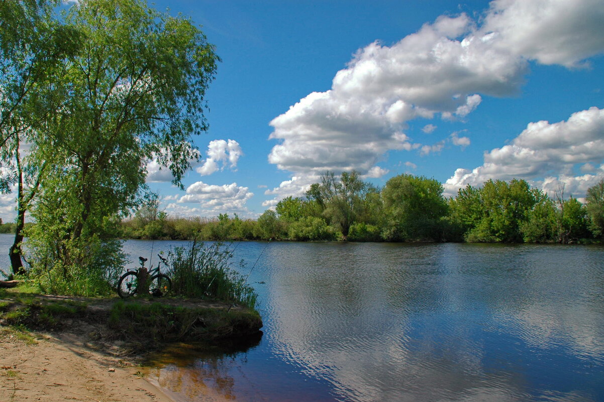 ... - Елена Пономарева