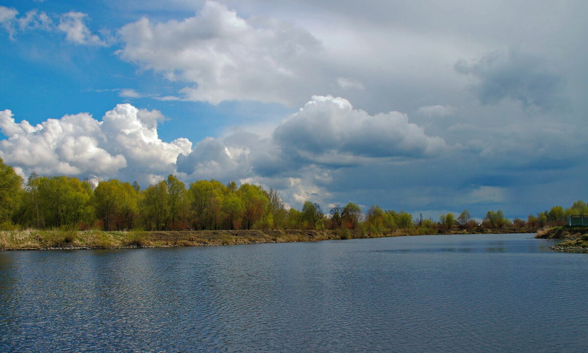 ... - Елена Пономарева ... - Елена Пономарева
