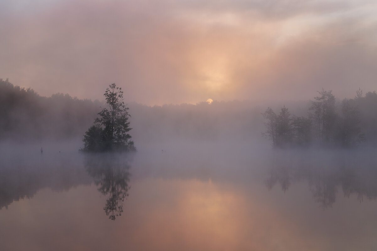 Утро туманное - Sergey38 