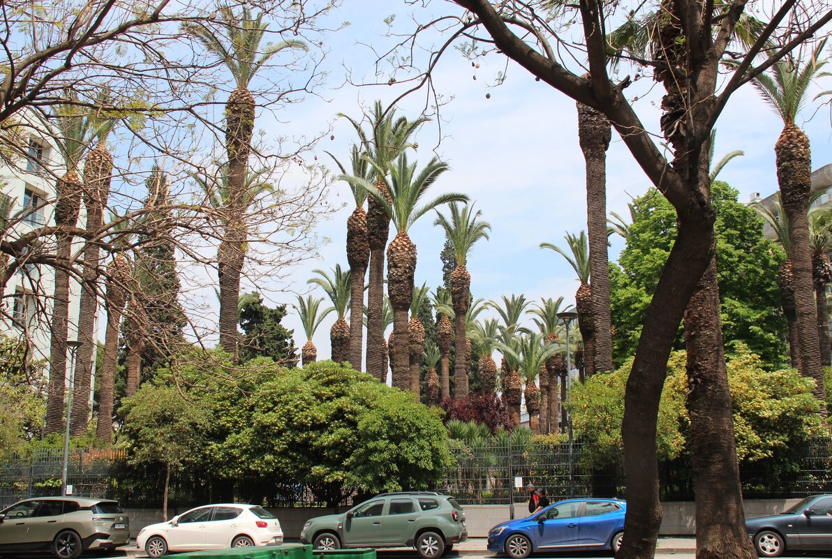 Измир - Сергей Никифоров