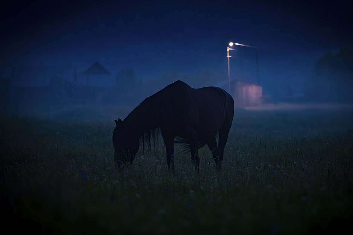 Ночное. (Из жизни села) - Георгий 