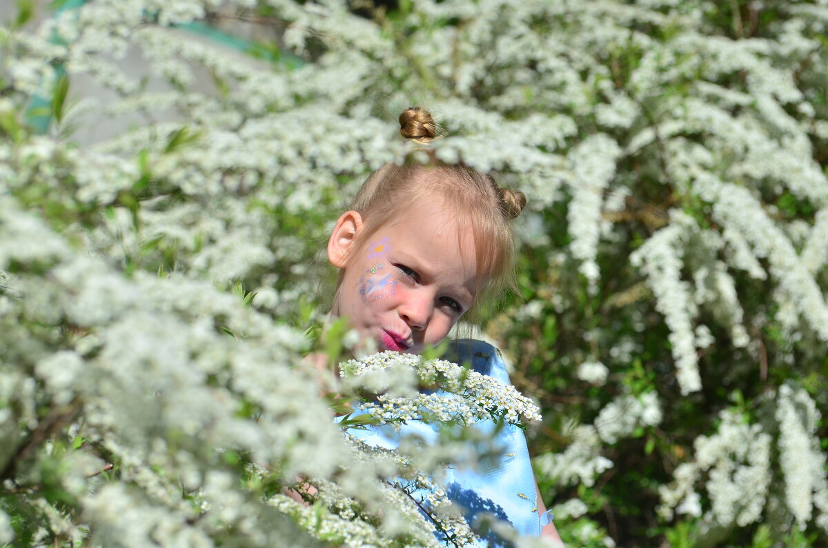 В кустиках - Джексон 