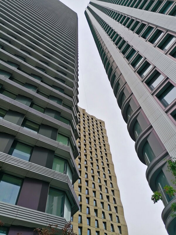 Городская геометрия - Наталья Rosenwasser