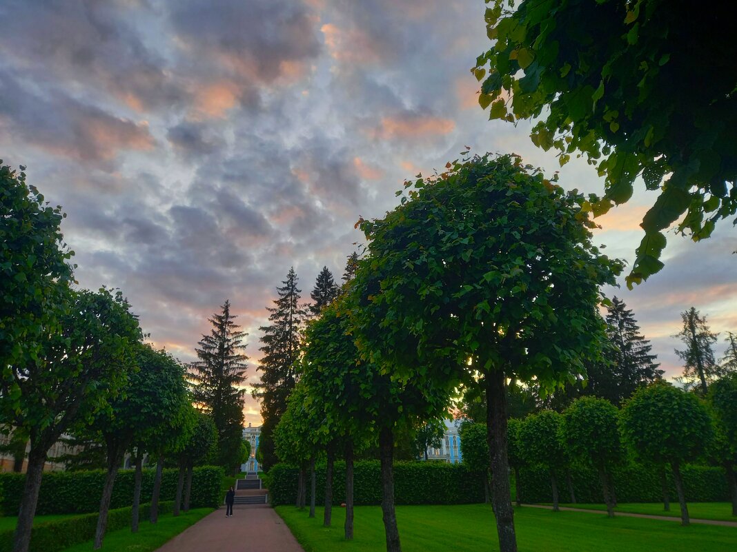 Закат - Сапсан 