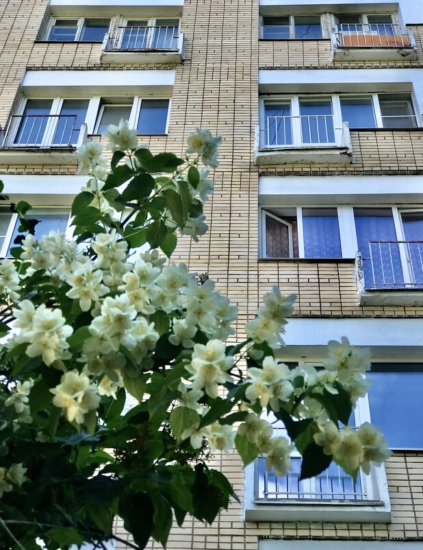 Окна-11 - Любовь Окна-11 - Любовь