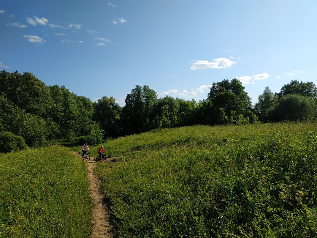 "Над тобою, поле, небо голубое, небо Родины моей" (из песни советских времён) - Андрей Лукьянов