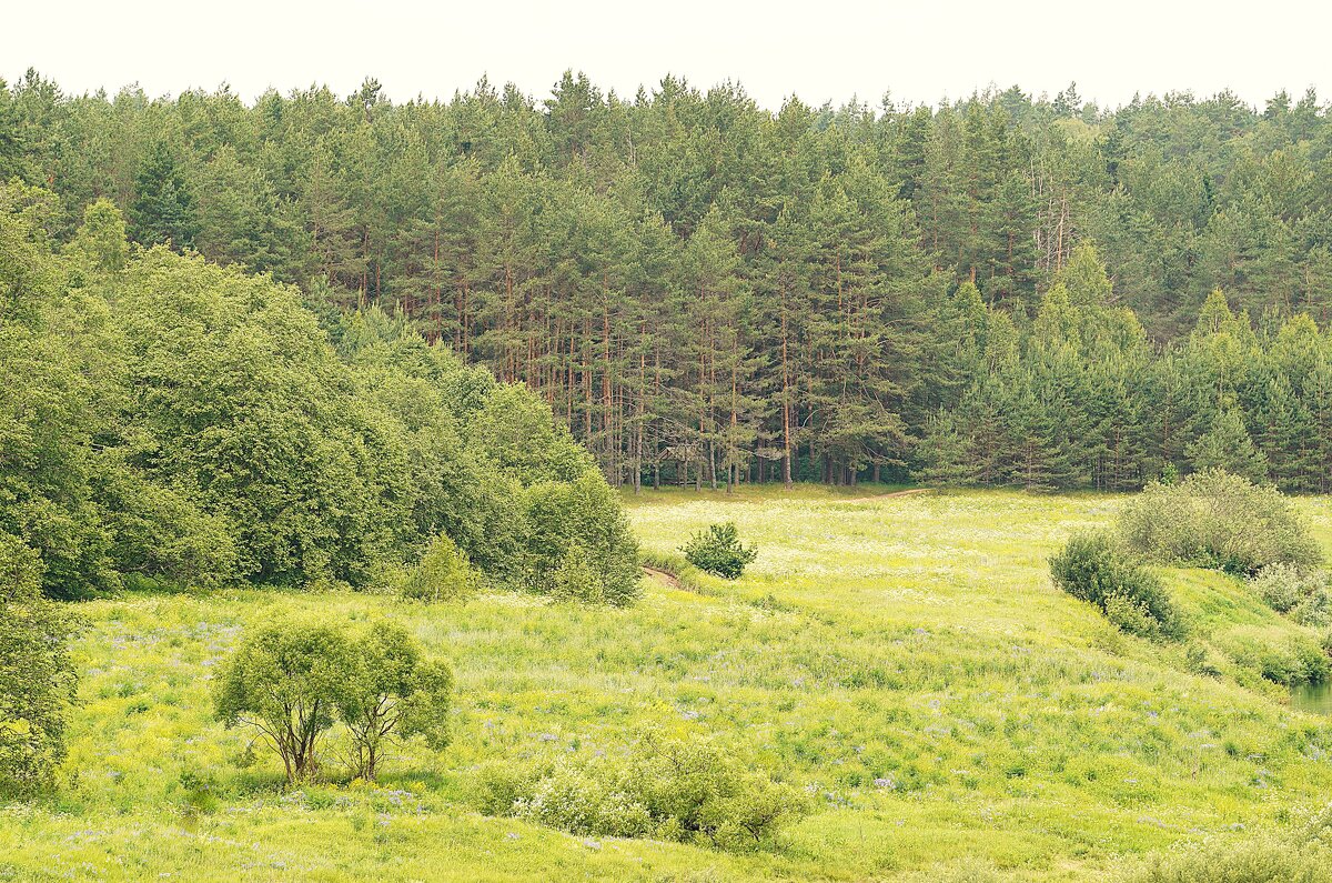 На том берегу - Татьяна Тюменка