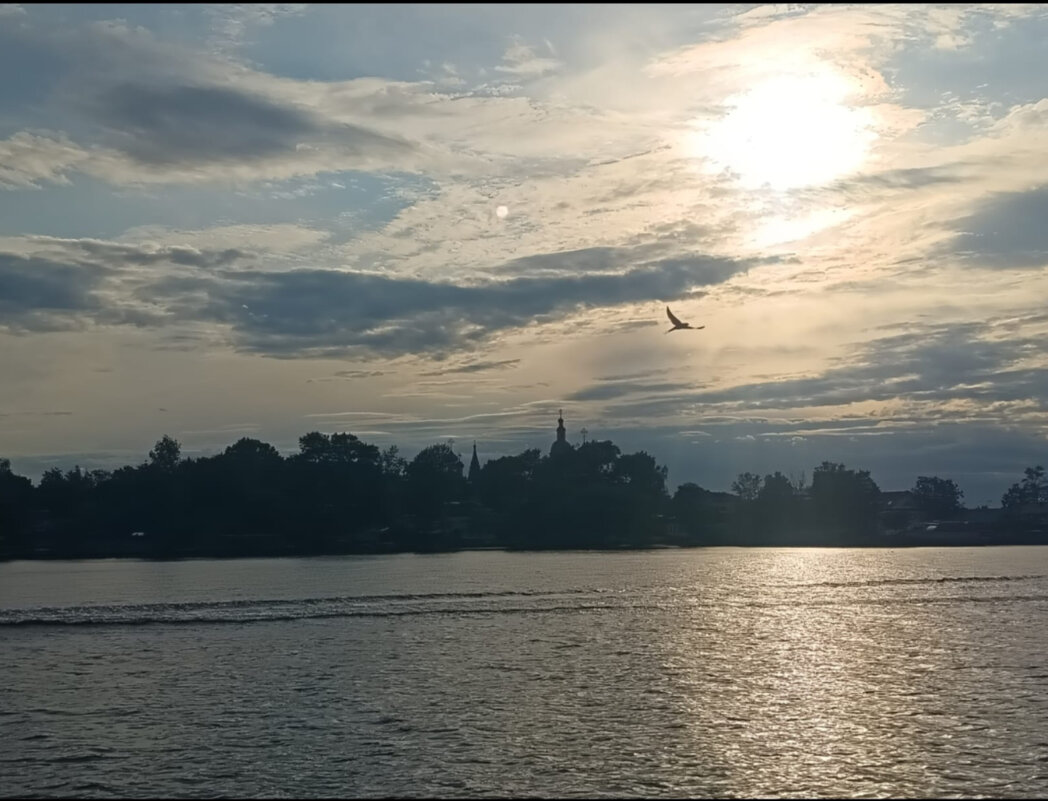 Летний вечер - Андрей 