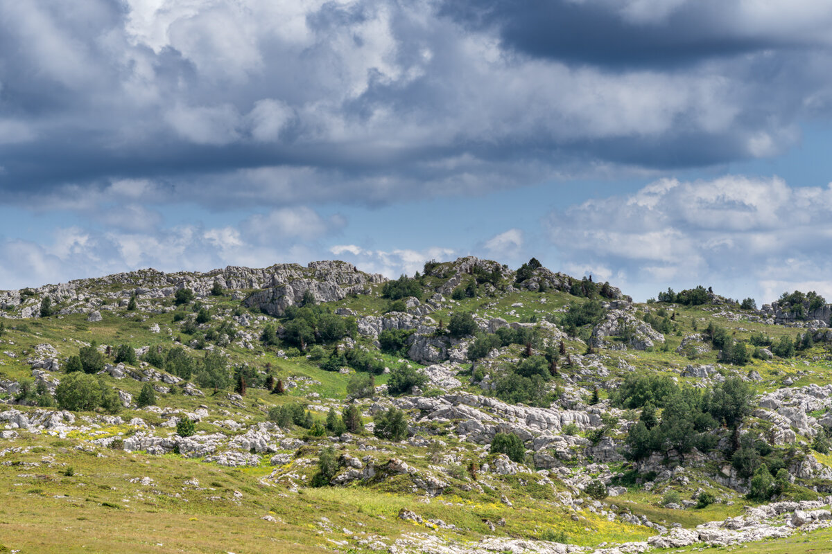 Лаго-Наки - Игорь Сикорский