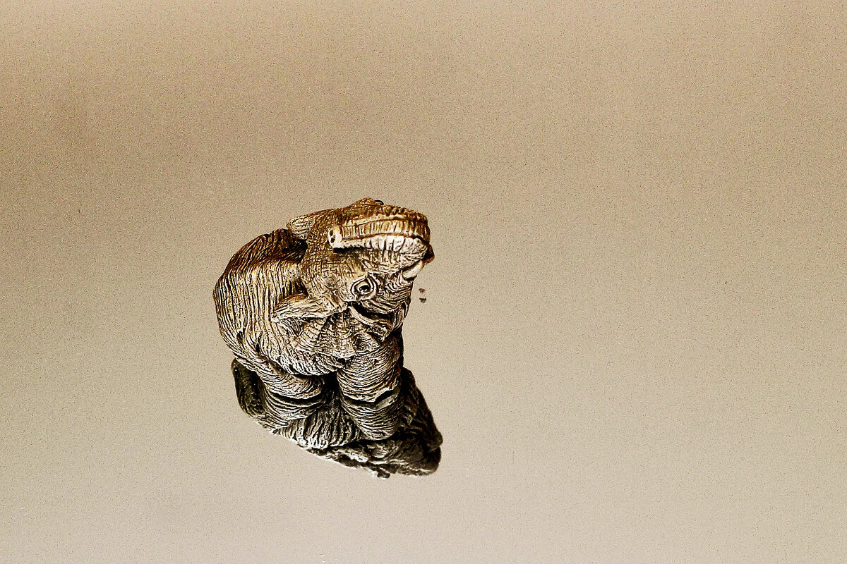 Слоник - Юрий Гайворонскiий