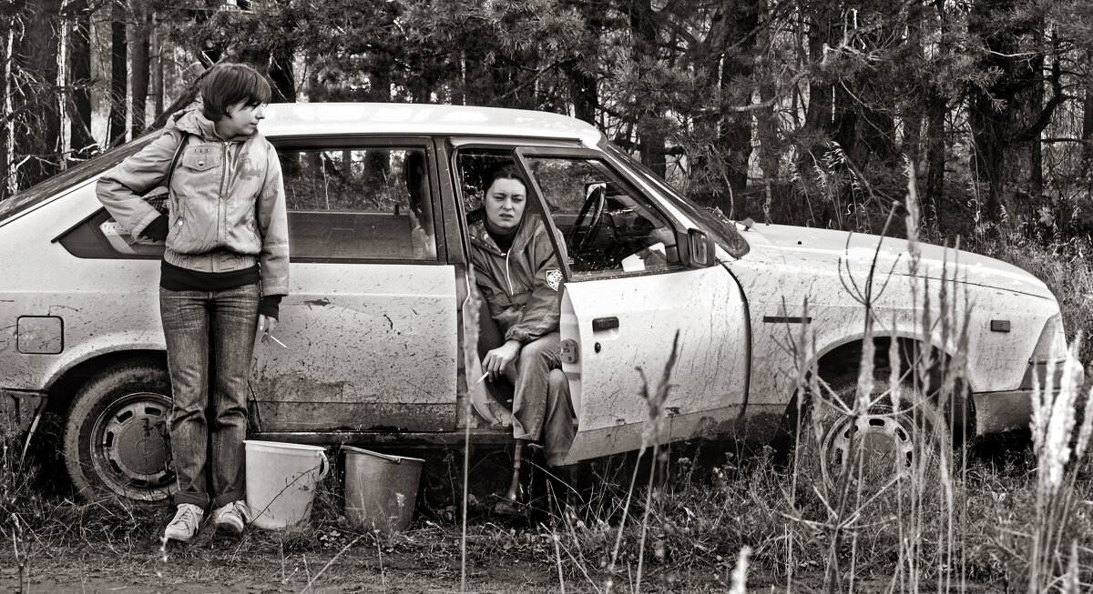 Грибов нет... - СЮ 