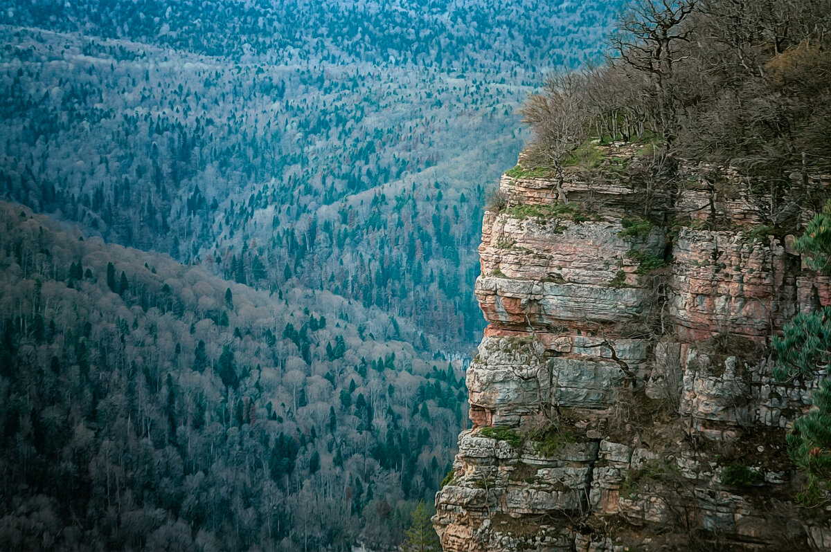 ... - Игорь Хижняк