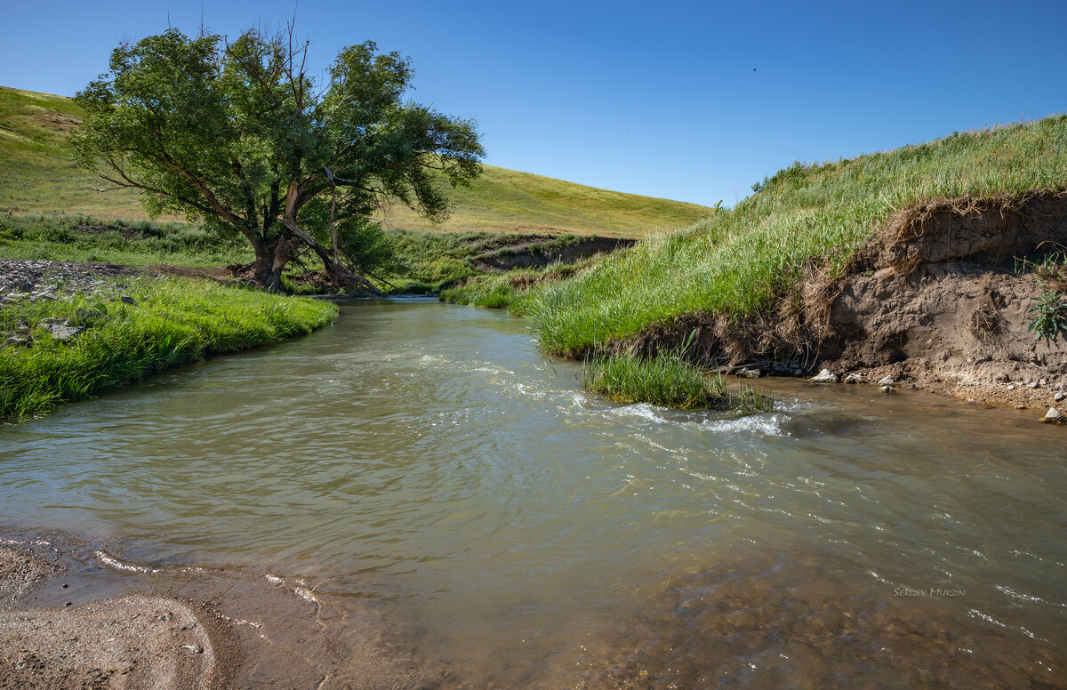 Лето - Сергей Мурзин