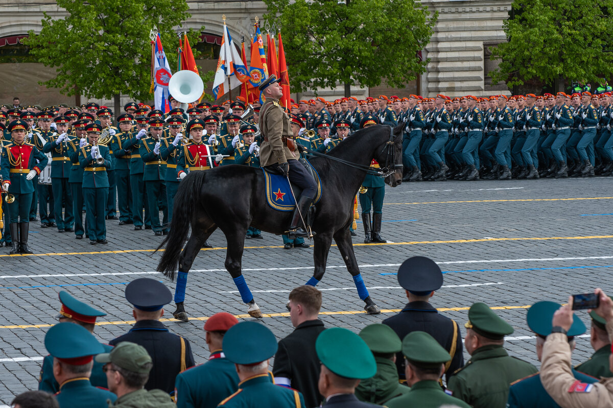 Кавалерист - Павел Катков