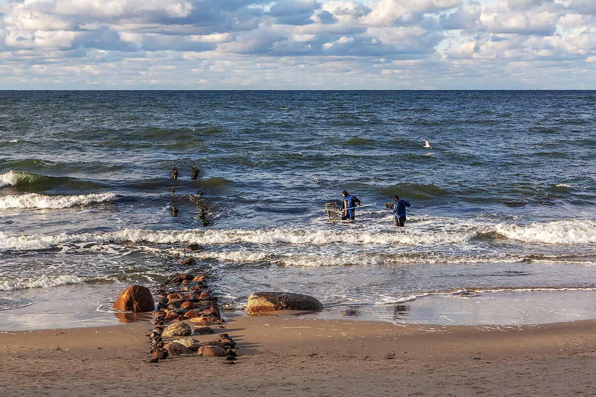 Балтика - Дмитрий 