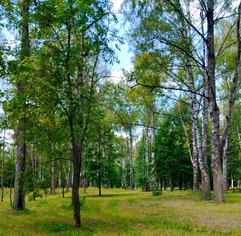 В парке - Галина Бобкина