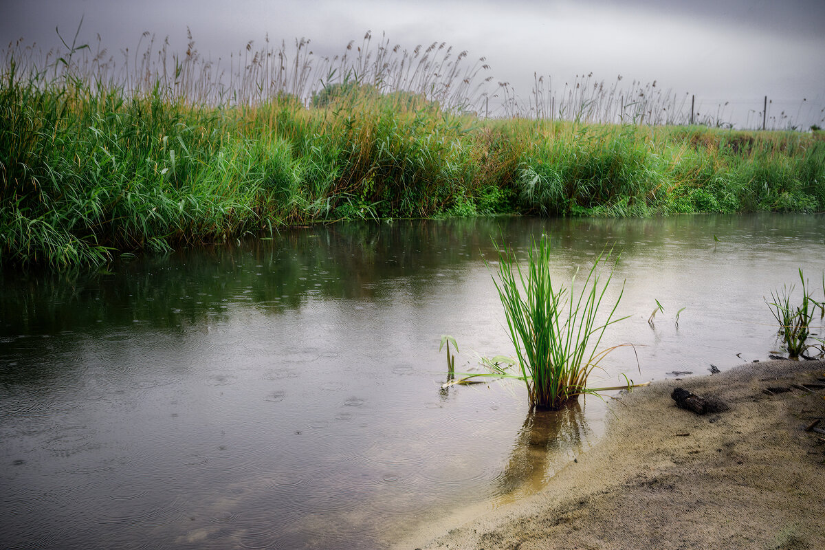 Слегка освежив берега изумрудные - Валерий VRN Слегка освежив берега изумрудные - Валерий VRN