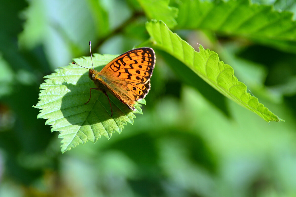 Передышка - Геннадий Супрун