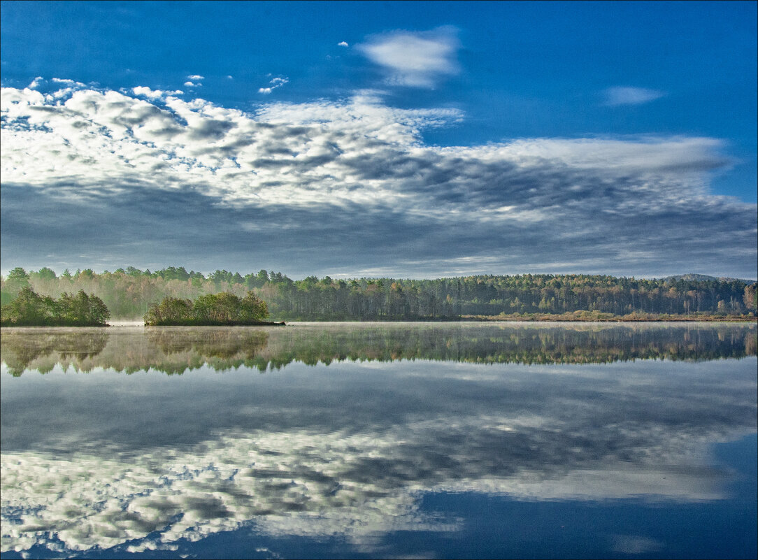 Отражения - александр 