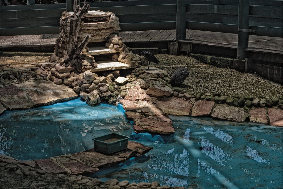 Хайфа 06,2025году Зоопарк - ujgcvbif 