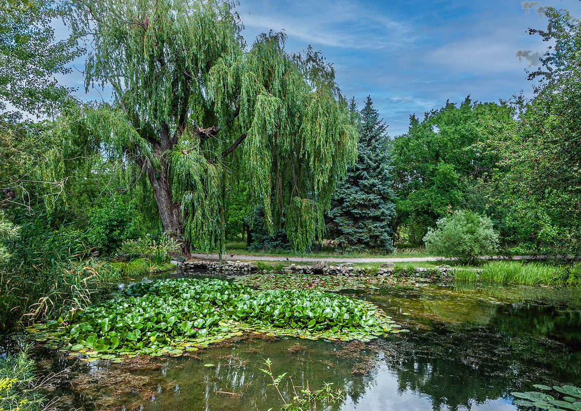 Прогулка по парку.Пруды - Варвара 