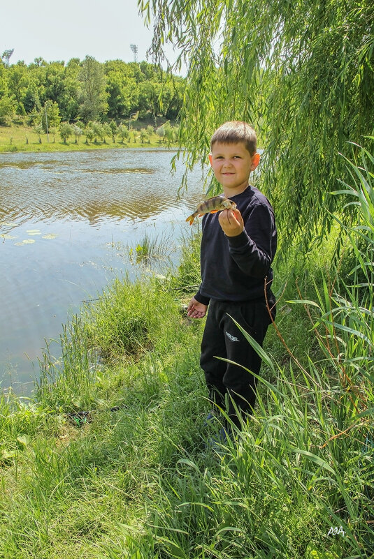 *** - Роланд Дубровский *** - Роланд Дубровский