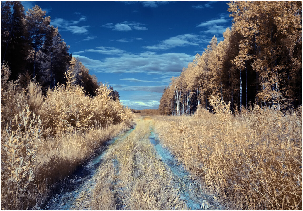 Инфракрасный июнь - Валентин Котляров Инфракрасный июнь - Валентин Котляров