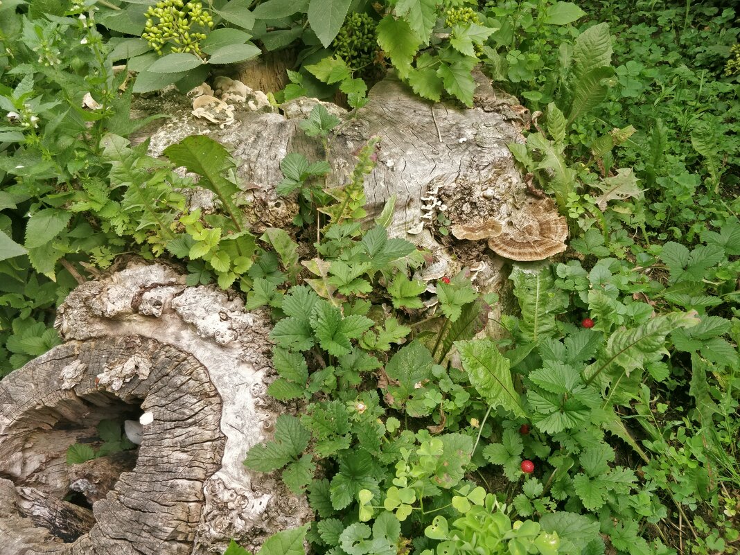 Красиво и интересно. - Андрей Хлопонин Красиво и интересно. - Андрей Хлопонин