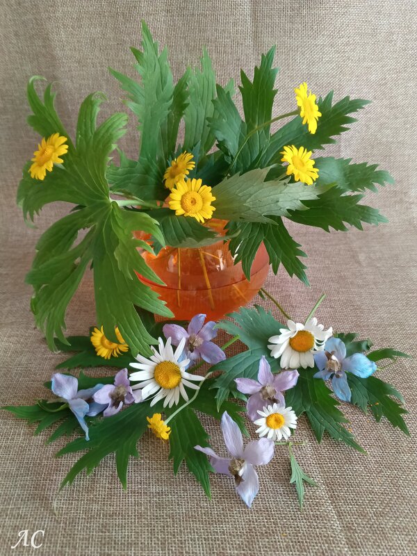 Фантазия - Любовь Сахарова