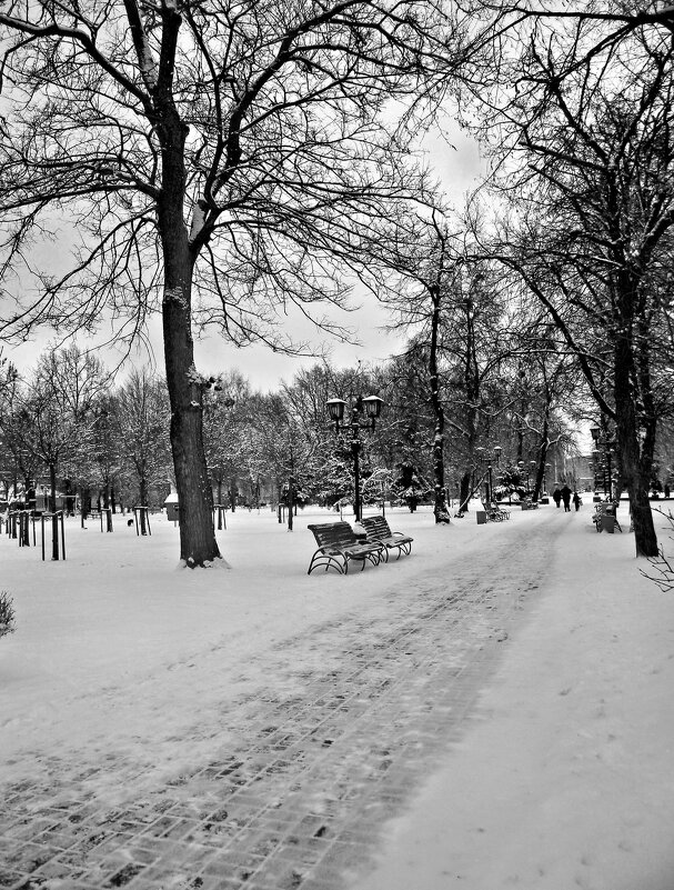 ЧБ фотография - Роман Савоцкий