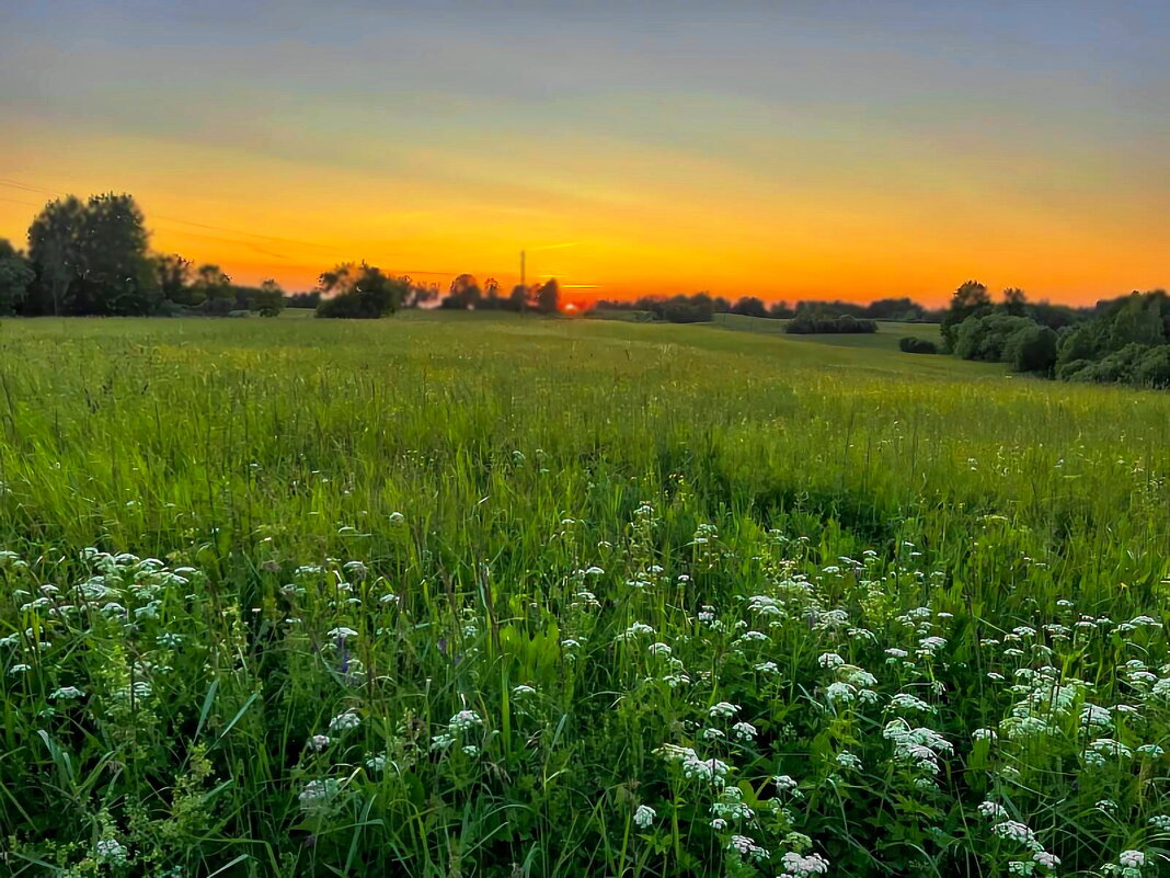 Jāņi - Arturs Ancans
