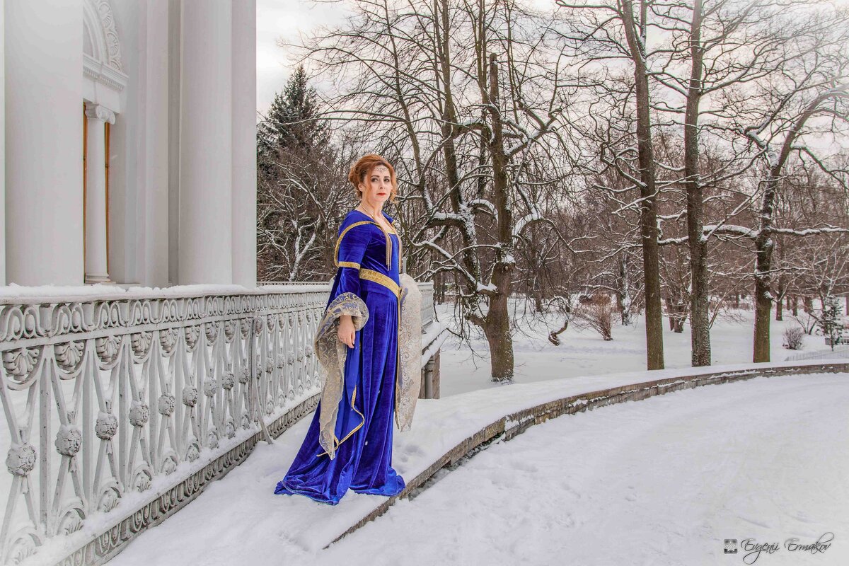 Графиня Ирина - Евгений Ермаков Графиня Ирина - Евгений Ермаков