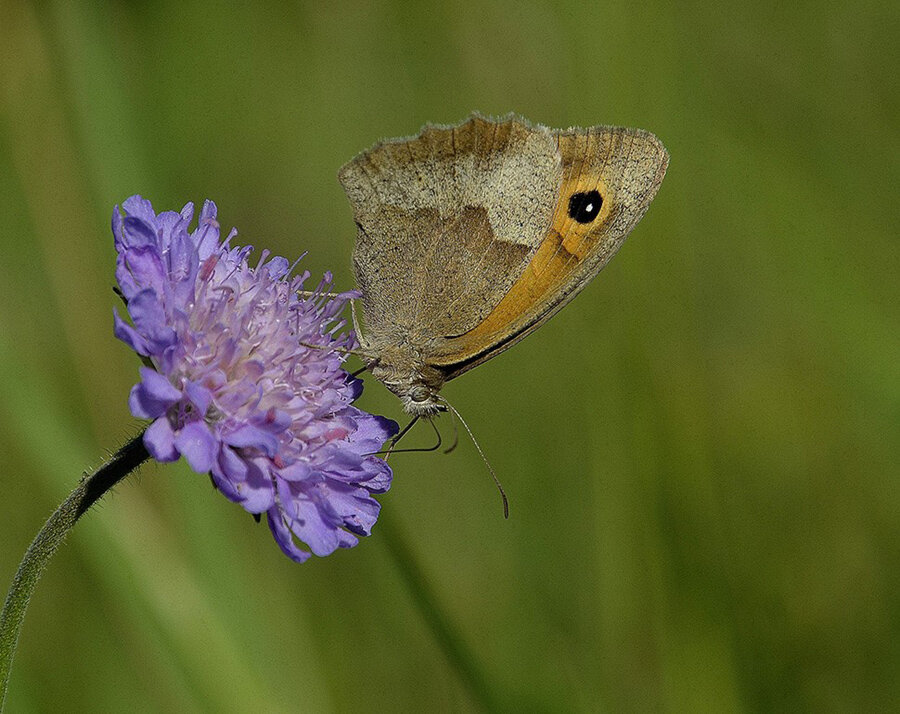 Как прекрасен этот Мир... - Aleksandr Gal