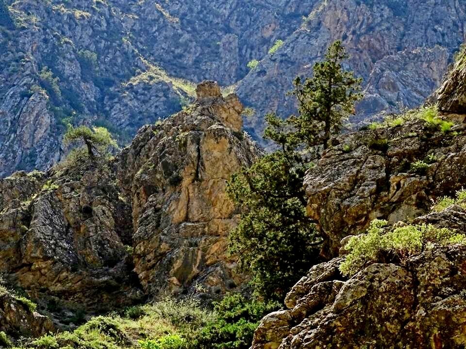 ВЗГЛЯД ПО СТОРОНАМ. - Виктор Осипчук