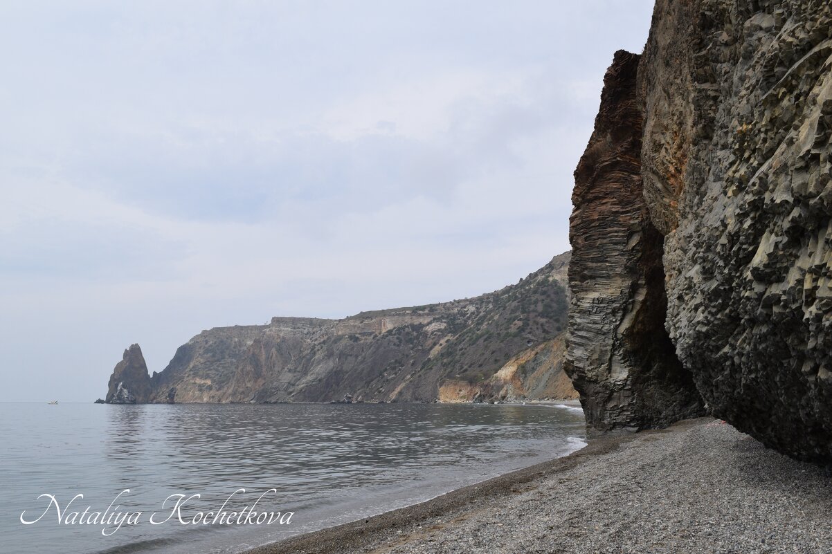 Природа Крыма - Amazing Cosmea