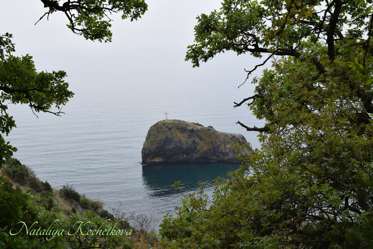 Природа Крыма - Amazing Cosmea