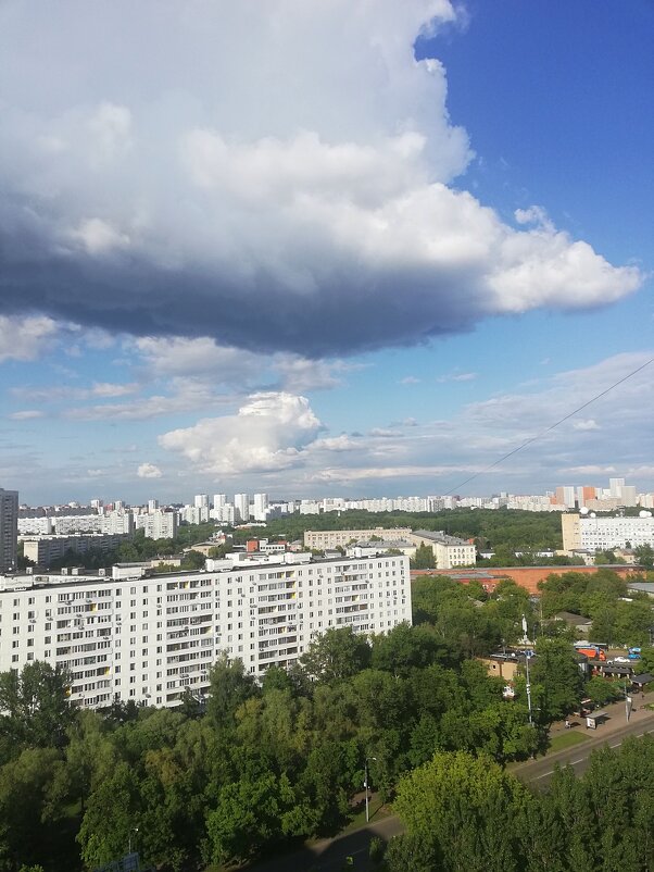 Московское небо. - Ольга Довженко