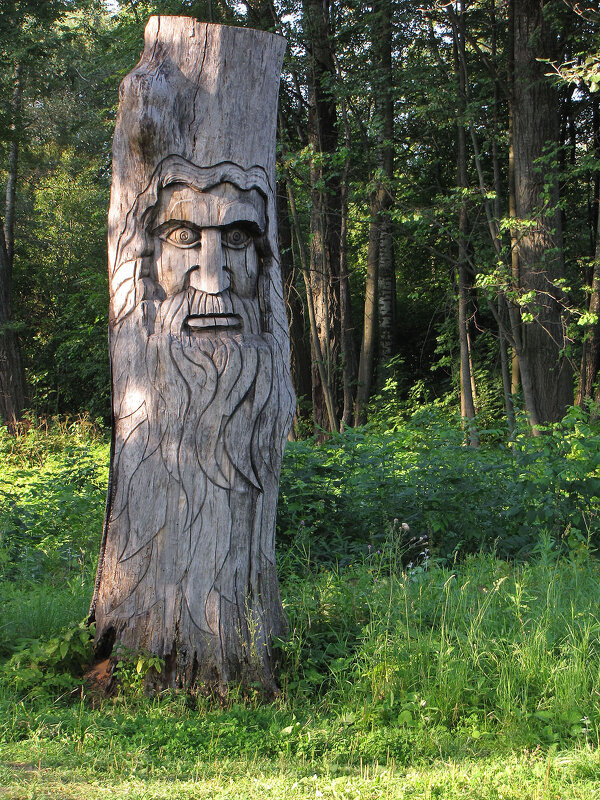 В парке - Александр Ильчевский 