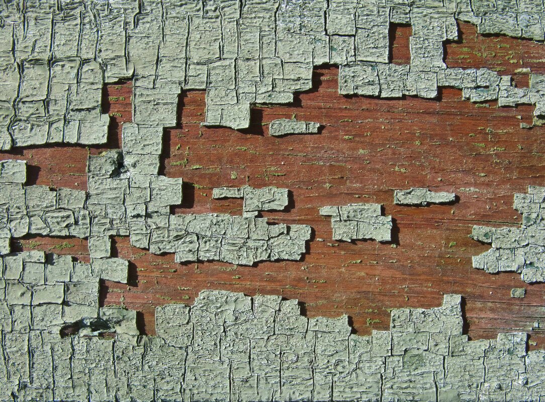 Пикселизация - Владимир Шишкин Пикселизация - Владимир Шишкин