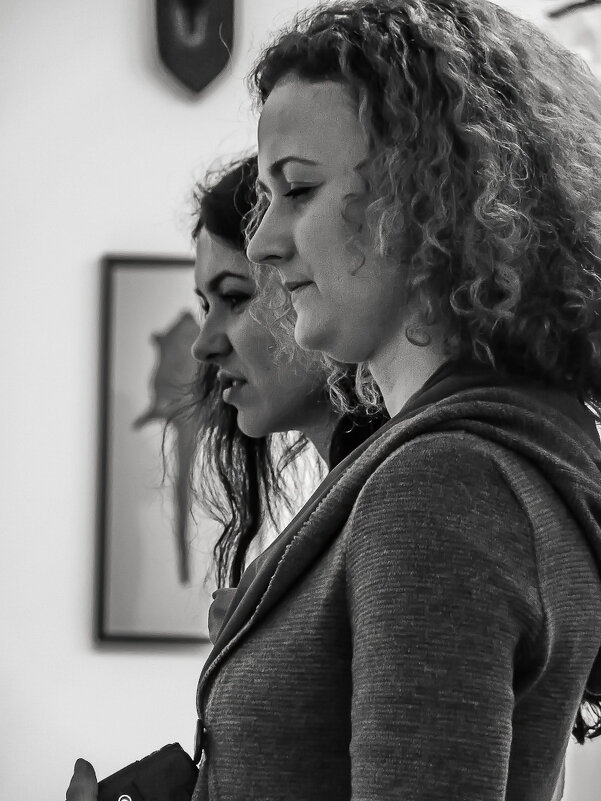 Картинки с выставки или двуглавый портрет - Наталья Rosenwasser