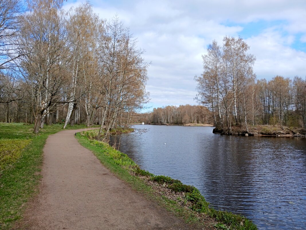 Аллея вдоль реки. - Лия ☼