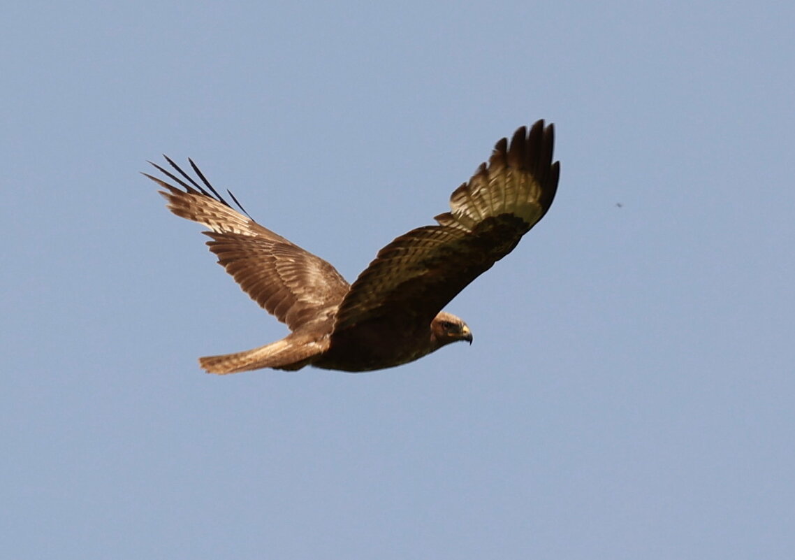 Украшение гор. - Александр Кондаков Украшение гор. - Александр Кондаков