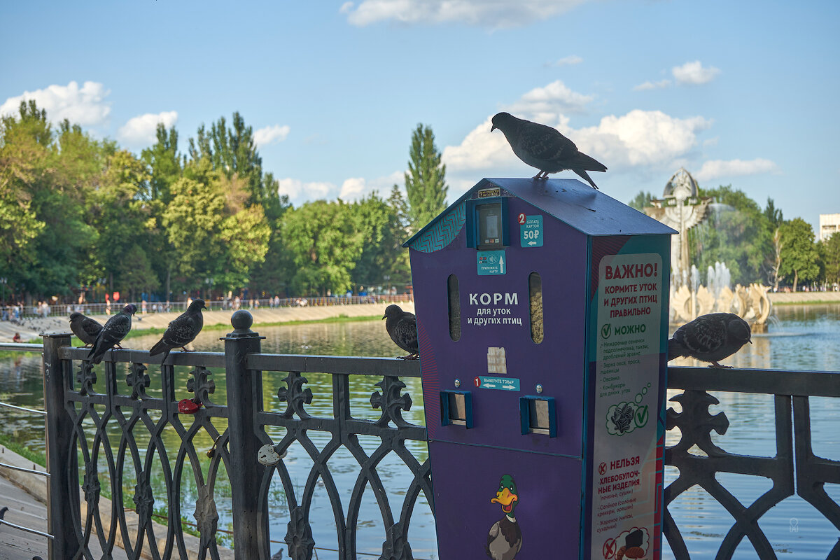 Другие птицы - Олег Манаенков