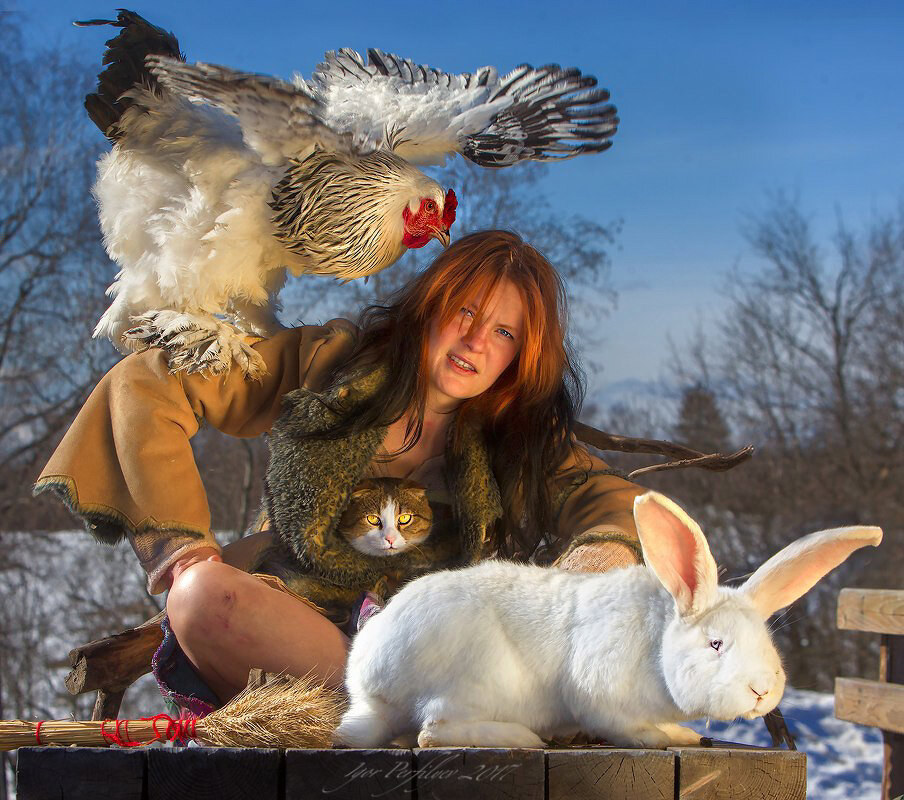 степа и  все все все - игорь 