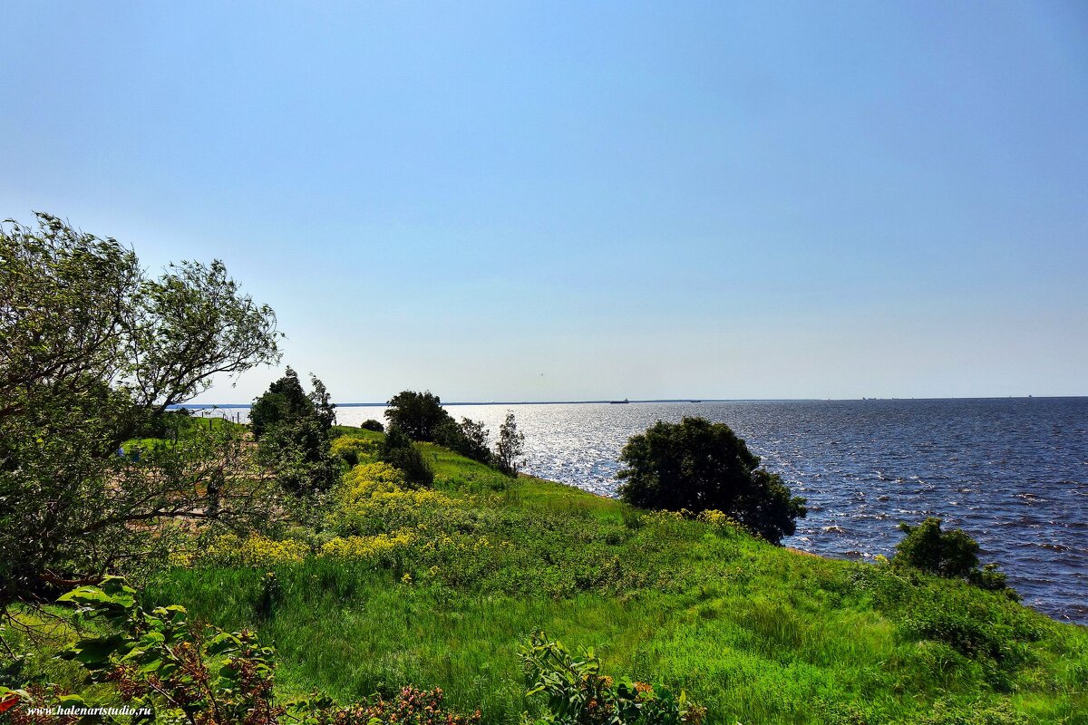 Маркизова лужа - Игорь Корф