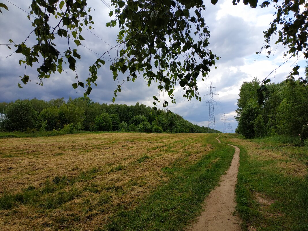 * * * - Андрей Лукьянов * * * - Андрей Лукьянов