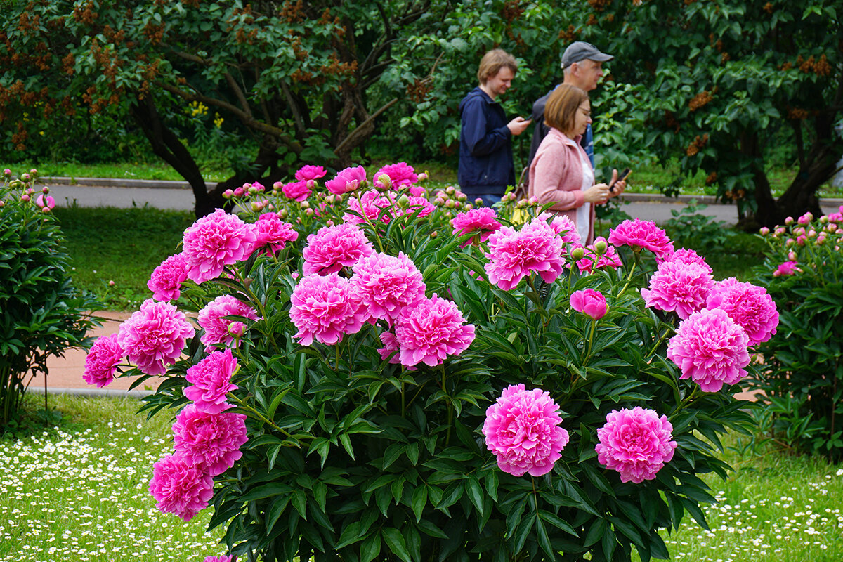 В ботаническом саду - Ольга 