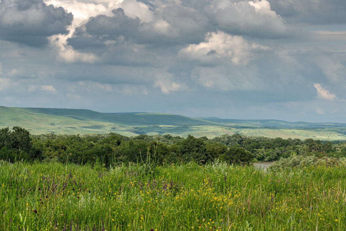 Окрестности - Игорь Сикорский