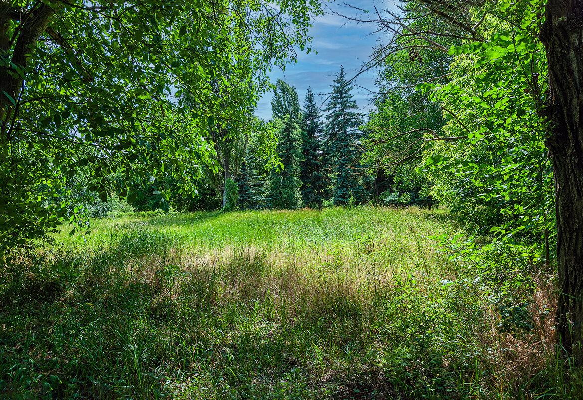 Полянка - Варвара 