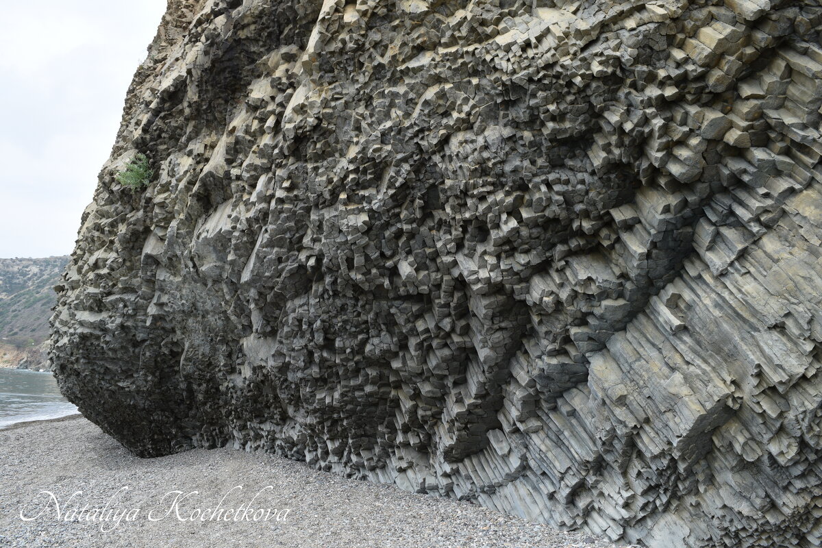 Природа Крыма - Amazing Cosmea